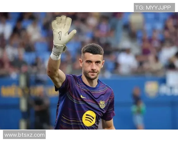 巴西历史上最具影响力的体育明星排名及其辉煌成就解析