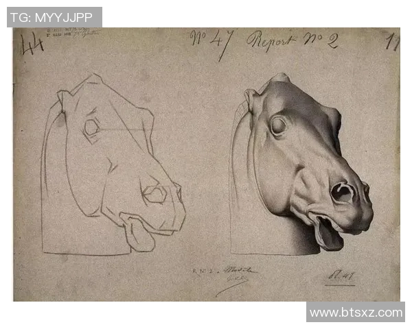 英国足球明星的传奇人生与赛场风采全景素描